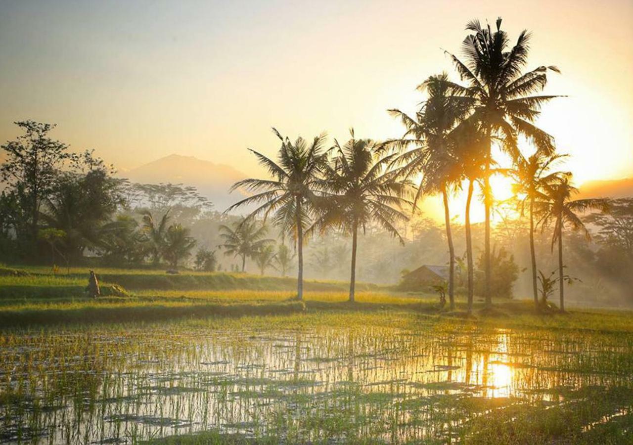 Puri Lotus Hotell Ubud Exteriör bild